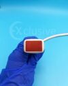 PHILIPS S3-1 Ultrasound Transducer