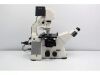 ZEISS Observer D1 Microscope