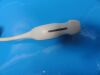 PHILIPS S4-1 Broadband Phased Array Ultrasound Transducer