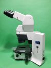 OLYMPUS BX45TF Microscope