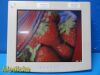 NATIONAL DISPLAY SYSTEMS National Display System V3C-SX18-A173 18" Medical Display Monitor