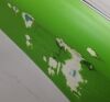 LASERSCOPE GREENLIGHT HPS LASER