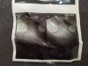 PHILIPS C10-3V Ultrasound Transducer