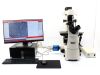 PCO edge 5.5 pco.edge 5.5 Monochrome Rolling Shutter sCMOS Microscope Camera (Camera Link)