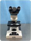REICHERT 410 Microscope