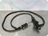 OLYMPUS CF-P10S Sigmoidoscope