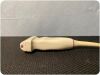 PHILIPS LINEAR Ultrasound Transducer