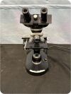 FISHER SCIENTIFIC SCIENTIFIC Microscope