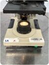 BAUSCH & LOMB  Microscope