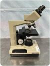 BAUSCH & LOMB  Microscope
