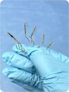 MEDI-STIM PQ100042  QuickFit TTFM Probe