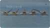 BIONX IMPLANTS Meniscus    Arrow Instrument Set