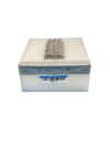 HOLOGIC ASY01564 SPINE PHANTOM Bone Densitometer