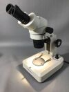 FISHER SCIENTIFIC Stereomaster Microscope