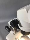FISHER SCIENTIFIC Stereomaster Microscope