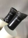 FISHER SCIENTIFIC Stereomaster Microscope