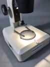 FISHER SCIENTIFIC Stereomaster Microscope