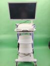 OLYMPUS OEV-262H Surgical Monitor