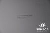 DRTECH IDEXX IMAGEVUE DR30  EVS 3643A WIRELESS (PANEL ONLY) DR