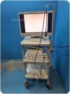 GYRUS ACMI Do not Apply INVISIO ENDOSCOPY SYSTEM %
