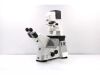 ZEISS AXIO Observer Microscope