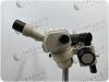 NIKON 1B Microscope