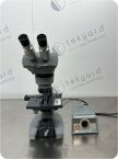 AMERICAN OPTICAL 1051 Optical Spencer Illuminator Microscope