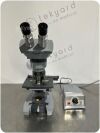 AMERICAN OPTICAL Spencer Microscope