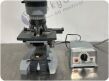 AMERICAN OPTICAL Spencer Microscope