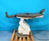 GLOBAL SURGICAL SMR MAXI 2800 Exam Chair