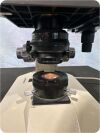 NIKON Alphaphot YS Microscope