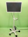 OLYMPUS OEV261H Surgical Monitor w/ Stand & Adapter