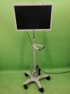 OLYMPUS OEV261H Surgical Monitor w/ Stand & Adapter