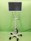OLYMPUS OEV261H Surgical Monitor w/ Stand & Adapter