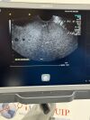 ACUSON/SIEMENS Acuson MC9-4  Ultrasound Probe /Transducer