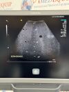 ACUSON/SIEMENS Acuson 6C2 Ultrasound Probe/Transducer