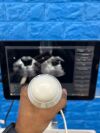 VITACON VitaScan LT  With Vitascan V2 Probe. Urology Ultrasound