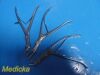 SKLAR Lot of 3  Orthopedic Bone Ronguer Forceps; Angled