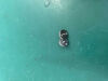 MINDRAY MPM Module  MPM Module Screw Module