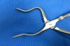 W. LORENZ 01-0247 Forceps