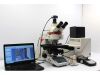 LEICA DM6 B Microscope