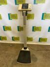 SECA 763 Scale