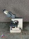 MICROSTAR AMERICAN OPTICAL 1130 Microscope