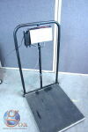 HEALTH O METER PROFESSIONAL 2500KL Scale
