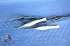 PRINCETON 10.248.18 FORCEPS, DRESSING   TISSUE FERRIS-SMITH,