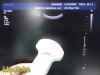 PHILIPS C5-1 Broadband Curved Array Ultrasound Transducer