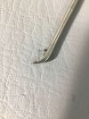 ARTHREX AR-11800 Bird Beak Grasper