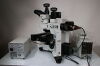 OLYMPUS -Fluorescent-Imaging-Microscope- Microscope