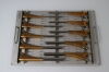 DEPUY SYNTHES Depuy-AML-Broaches-Set Instrumentation and Broaches Set for AML Hip System