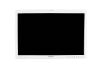 OLYMPUS OEV261H Display Monitor